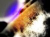 post-2129-127972302586_thumb.jpg