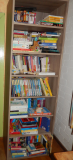 6InformationBookCase_0.25.png