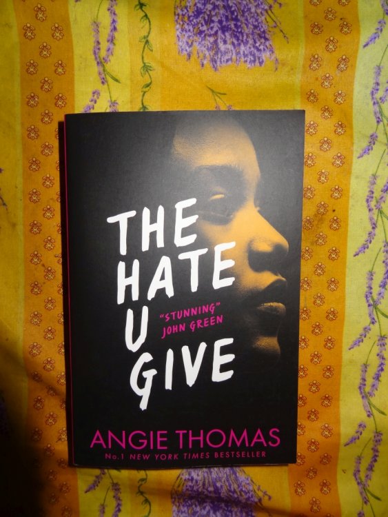 AngieThomas-TheHateUGive_025.jpg